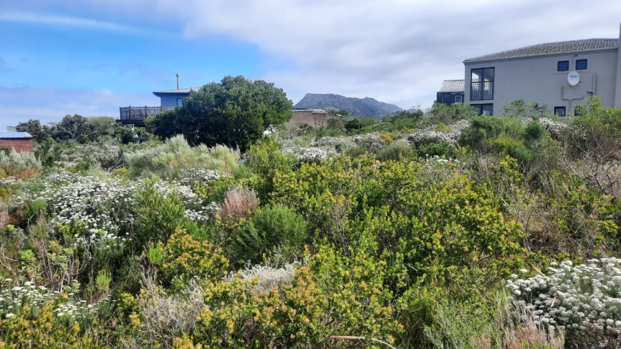 0 Bedroom Property for Sale in Bettys Bay Western Cape